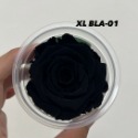 “Be a florist 花藝夢” Rose Amor 厄瓜多永生玫瑰花 型號 5.5～7公分 乾燥花 永生花-規格圖2