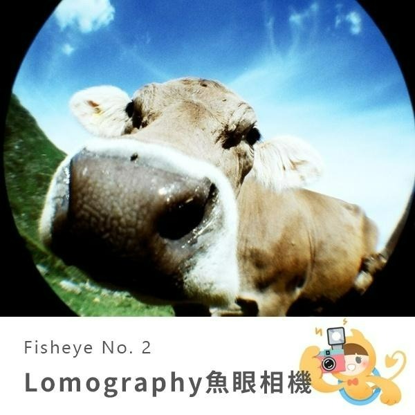 Lomography Fisheye No.2 魚眼 相機 二代 LOMO 底片 相機-細節圖4