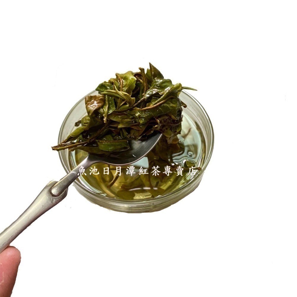 白茶 台茶18號 台茶21號 香檳白茶 20g/50g/包 有機認證 日月潭 日月潭白茶 50g/包-細節圖5