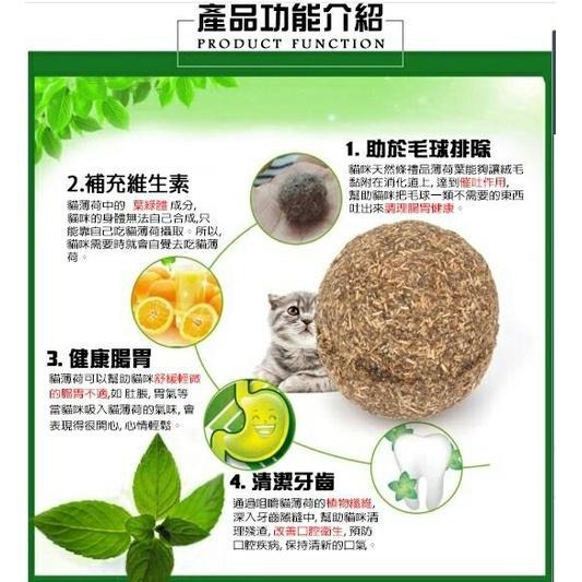 招弟生日同款做貓草球池~貓薄荷球 貓草球 貓草 貓咪用品 貓薄荷草 貓薄荷 木天蓼 貓玩具-細節圖2