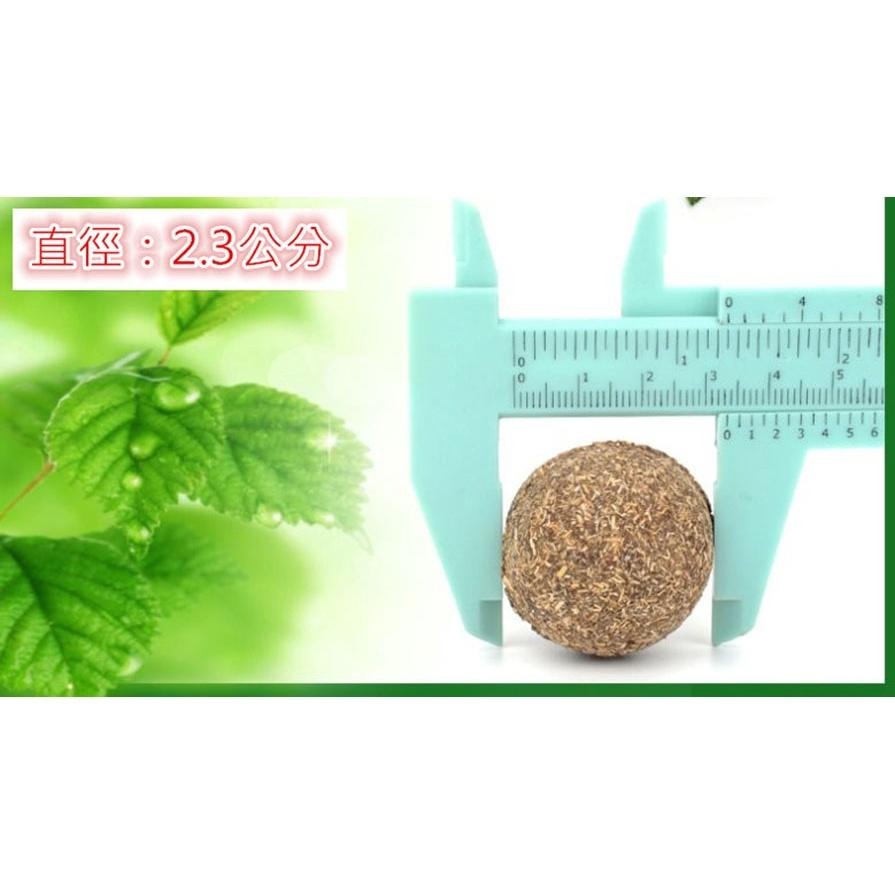 招弟生日同款做貓草球池~貓薄荷球 貓草球 貓草 貓咪用品 貓薄荷草 貓薄荷 木天蓼 貓玩具-細節圖4