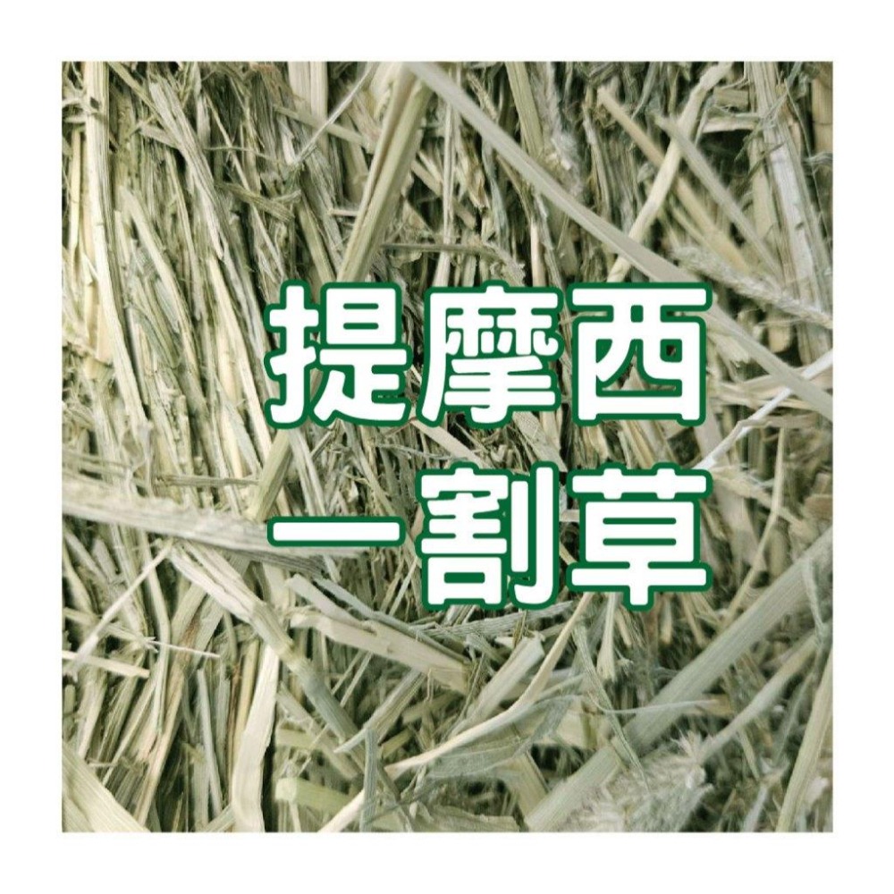 感謝寵物部長讓我有東西賣 已過篩 提摩西一割  二割 提摩西 美國 牧草 兔子飼料 成兔主食 天竺鼠 陸龜 蘇卡達 兔子-細節圖2