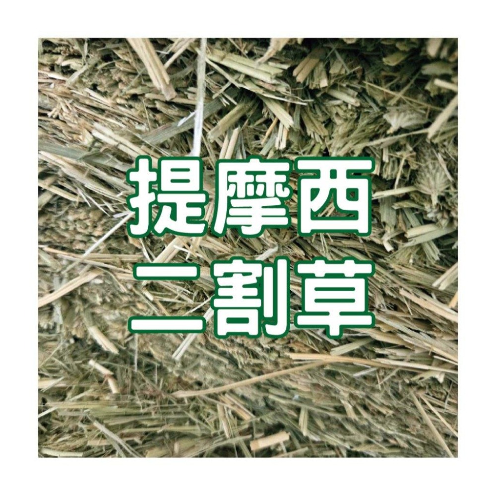 感謝寵物部長讓我有東西賣 已過篩 提摩西一割  二割 提摩西 美國 牧草 兔子飼料 成兔主食 天竺鼠 陸龜 蘇卡達 兔子-細節圖3
