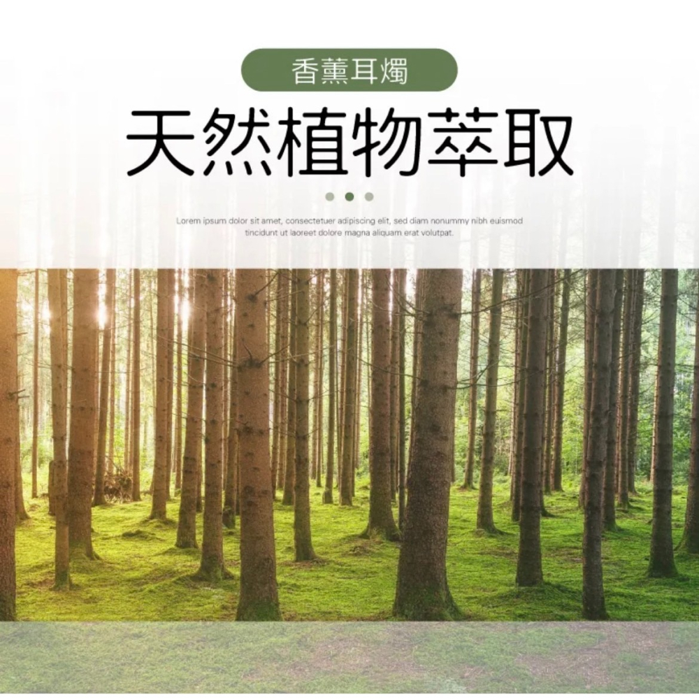 耳燭【現貨】帶塞有海綿香薰耳燭~直筒型/獨立包裝  另工作室有教學課程-細節圖2