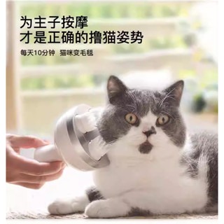 台灣熱銷  頭部按摩器 貓咪按摩器 頭皮按摩 貓咪頭皮按摩儀 寵物按摩器 USB充電 頭部按摩爪-細節圖2