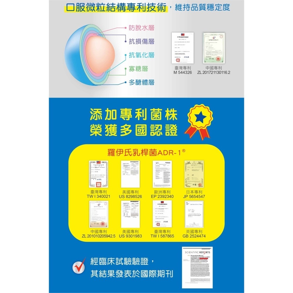 【誠意中西藥局】 景岳生技 固醣樂 益生菌 30顆/盒-細節圖4