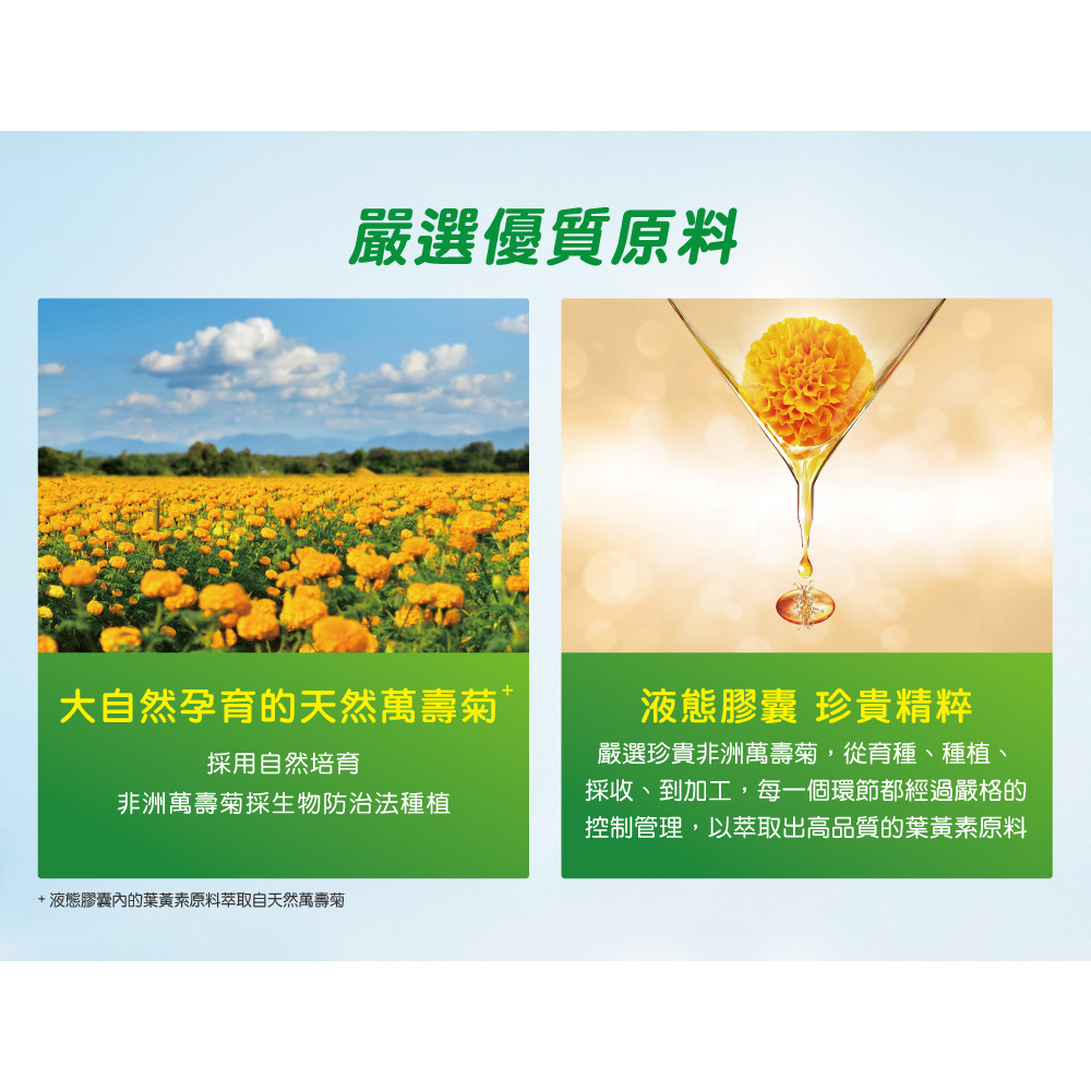 【誠意中西藥局 】 善存 葉黃素膠囊60錠-細節圖5