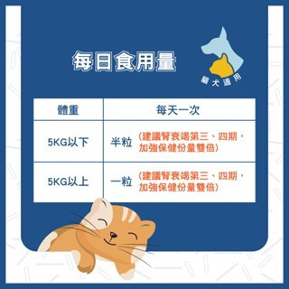 【誠意中西藥局】鴻睿 寶聖能寵物用益生菌膠囊 30粒 貓犬適用-細節圖2