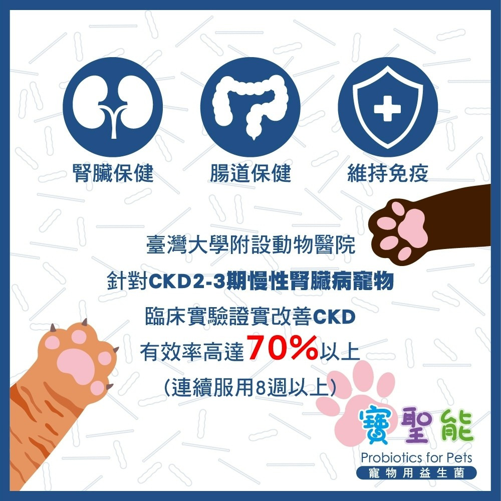 【誠意中西藥局】鴻睿 寶聖能寵物用益生菌膠囊 30粒 貓犬適用-細節圖3