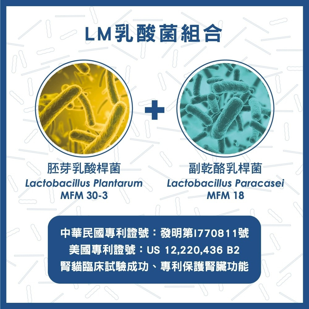 【誠意中西藥局】鴻睿 寶聖能寵物用益生菌膠囊 30粒 貓犬適用-細節圖4