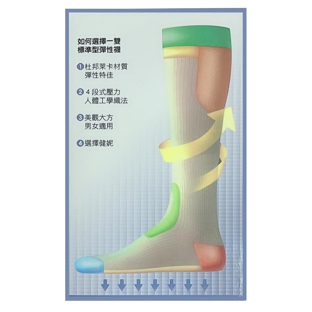 健妮｜飛力｜280den中統彈性襪｜藍色盒-細節圖3