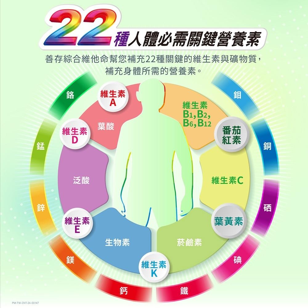銀寶善存50+男性綜合維他命65錠｜50歲以上男性｜增量B1與鎂｜完整營養補充-細節圖5