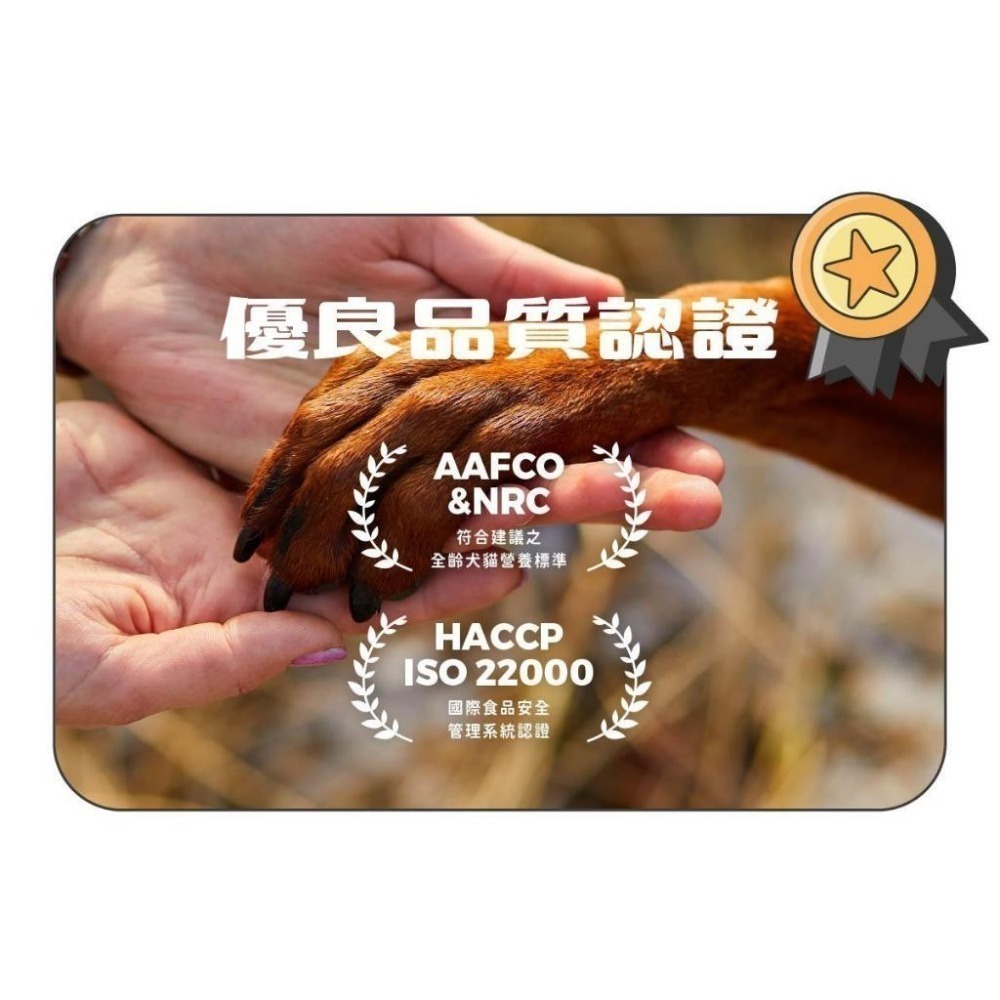 Super 陪心小白主食罐 貓主食罐 低磷 貓罐 貓用  小白罐 鮮肉罐 低碳水 主食罐-細節圖3