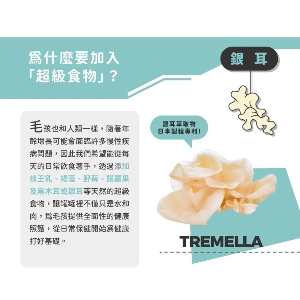 Super 陪心小白主食罐 貓主食罐 低磷 貓罐 貓用  小白罐 鮮肉罐 低碳水 主食罐-細節圖4