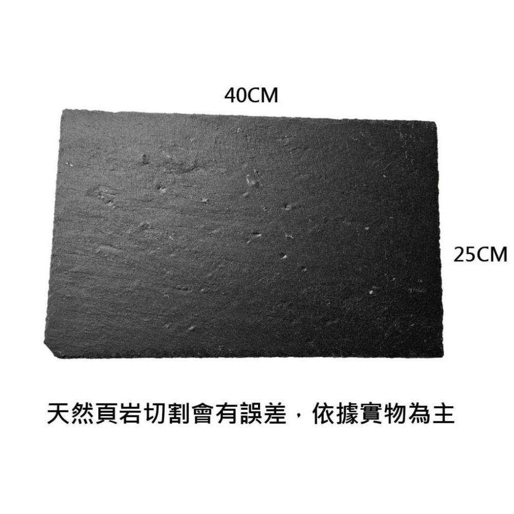 天然頁岩 頁片  烏龜 澤龜 爬蟲 水族造景 微景觀 園藝 水族造景石材 水草造景  擺盤 岩石托盤 岩石擺盤-細節圖5