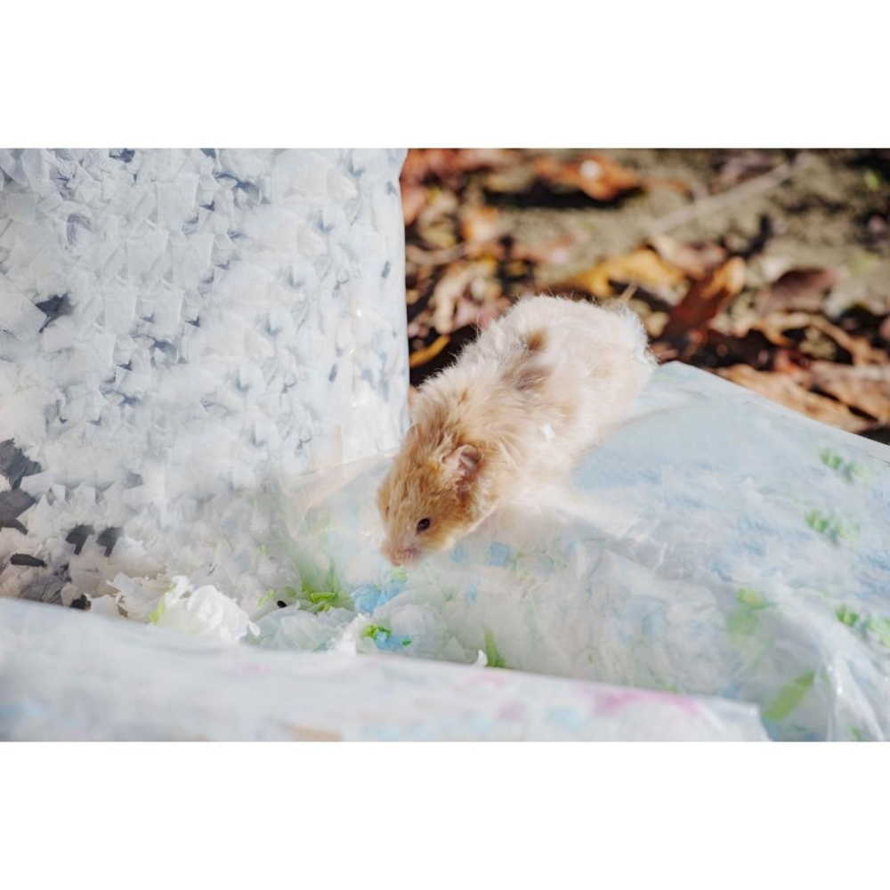 紙鼠於妮紙棉 倉鼠紙棉 倉鼠墊料 倉鼠墊材 倉鼠造景 紙墊料 棉紙 墊料 墊材 保暖 倉鼠 老鼠-細節圖2