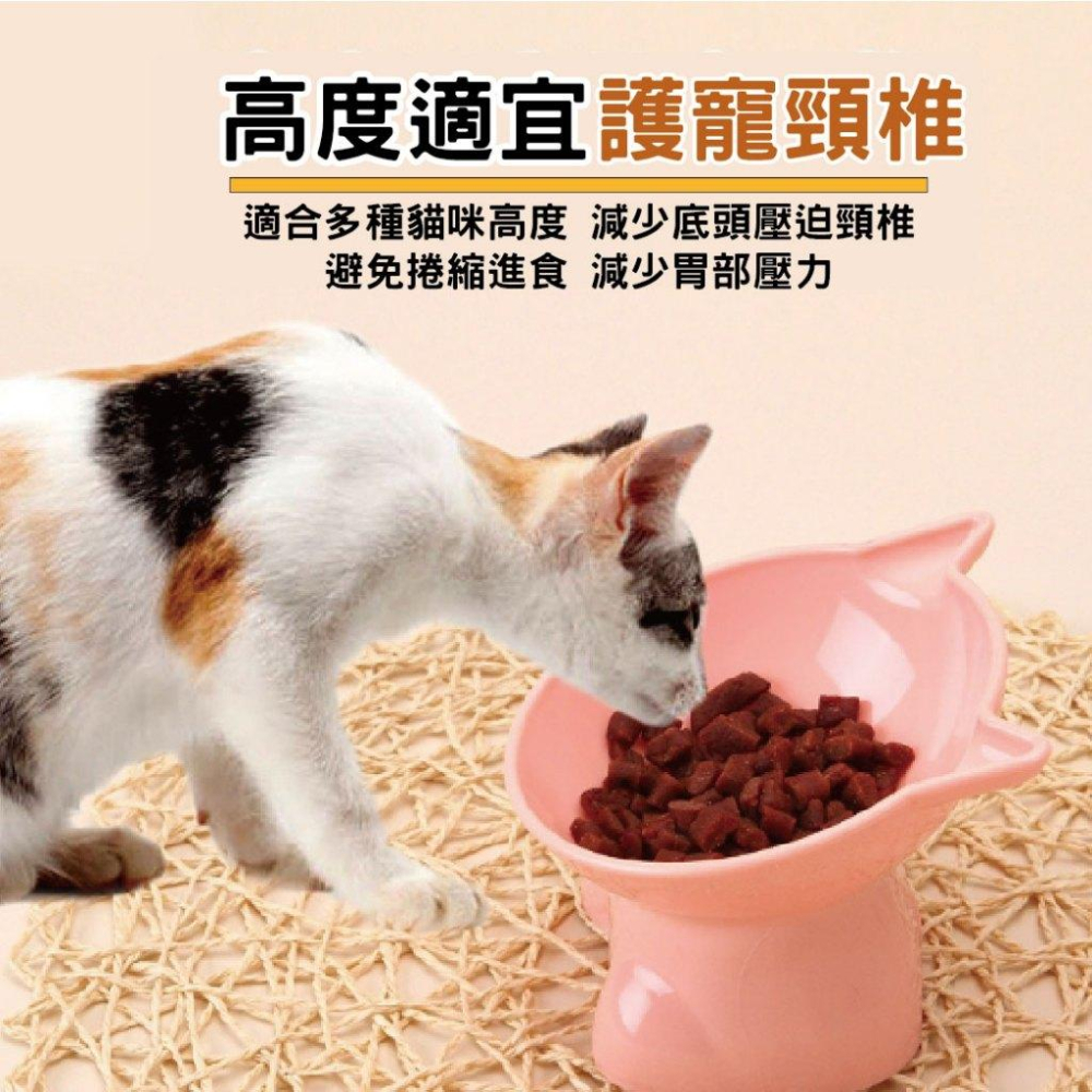 北歐風斜口高腳貓碗  護頸寵物碗 傾斜寵物碗 寵物斜口碗 護頸碗 造型寵物碗 狗碗 貓碗 寵物碗-細節圖2