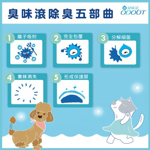 ODOUT臭味滾 地板清潔劑 狗用 貓用 環境清潔 抑菌 去味 消臭 寵物清潔-細節圖8