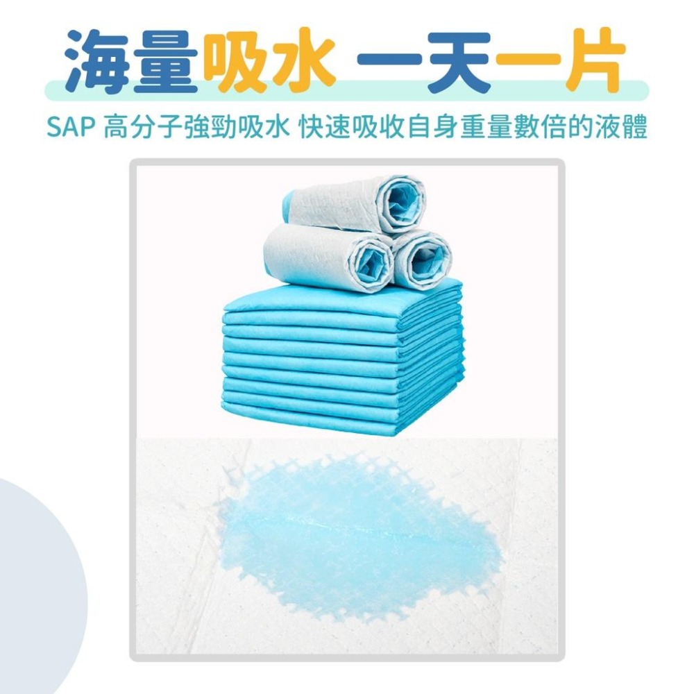 一天一張!海量吸水 芭絲特加厚無碳寵物尿布墊 加厚 除臭 吸水 超強 尿布 寵物用-細節圖5
