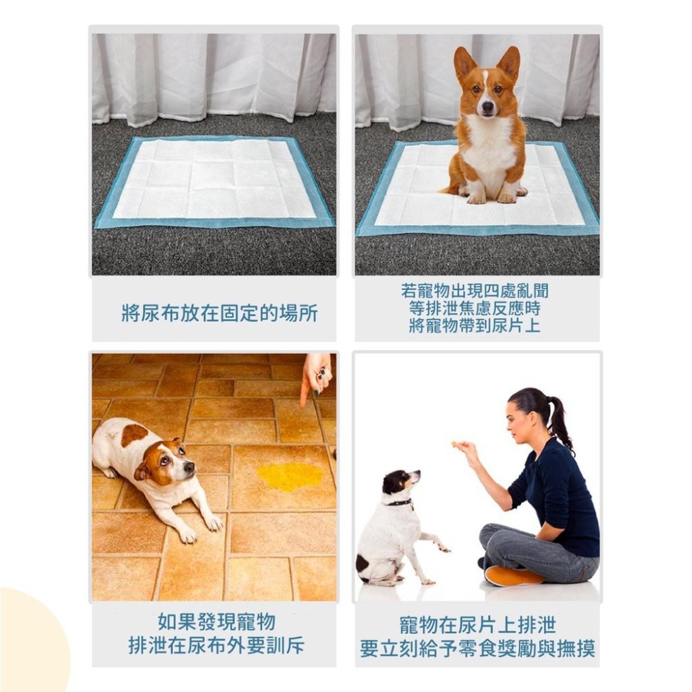 一天一張!海量吸水 芭絲特加厚無碳寵物尿布墊 加厚 除臭 吸水 超強 尿布 寵物用-細節圖6