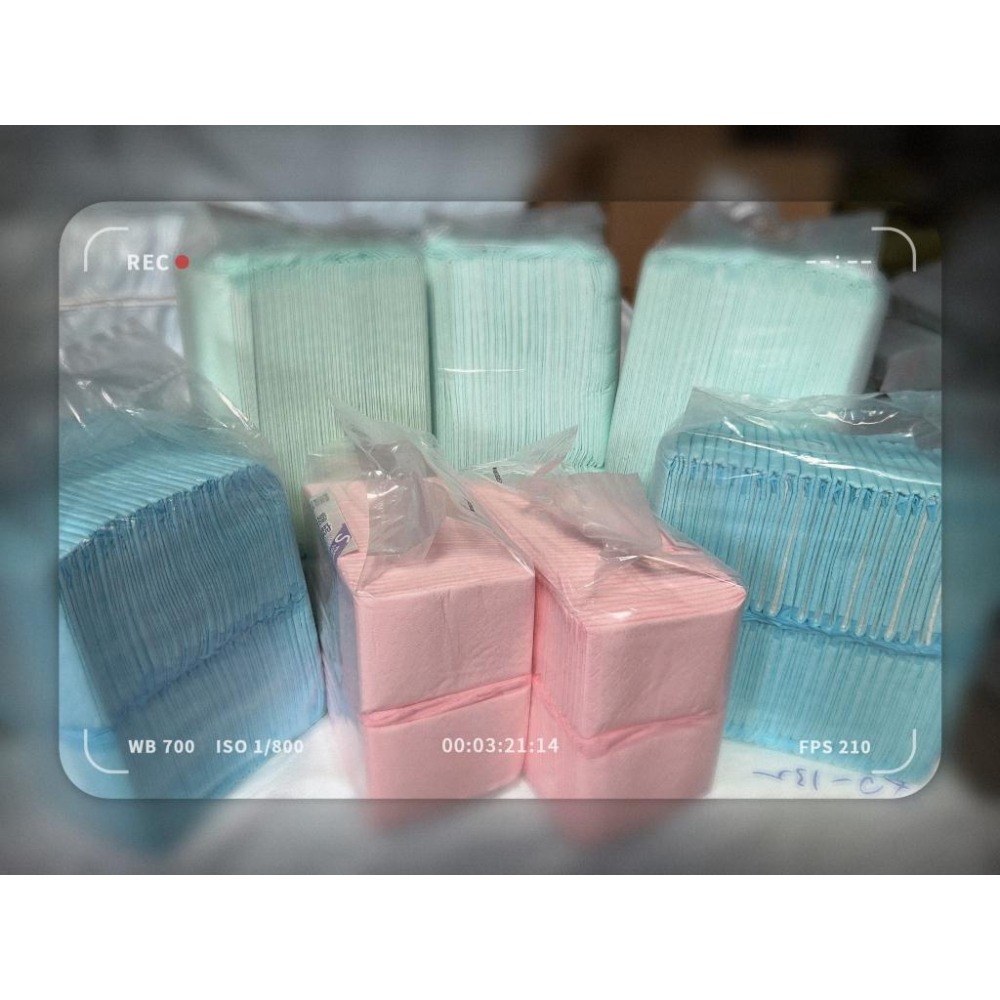 一天一張!海量吸水 芭絲特加厚無碳寵物尿布墊 加厚 除臭 吸水 超強 尿布 寵物用-細節圖7