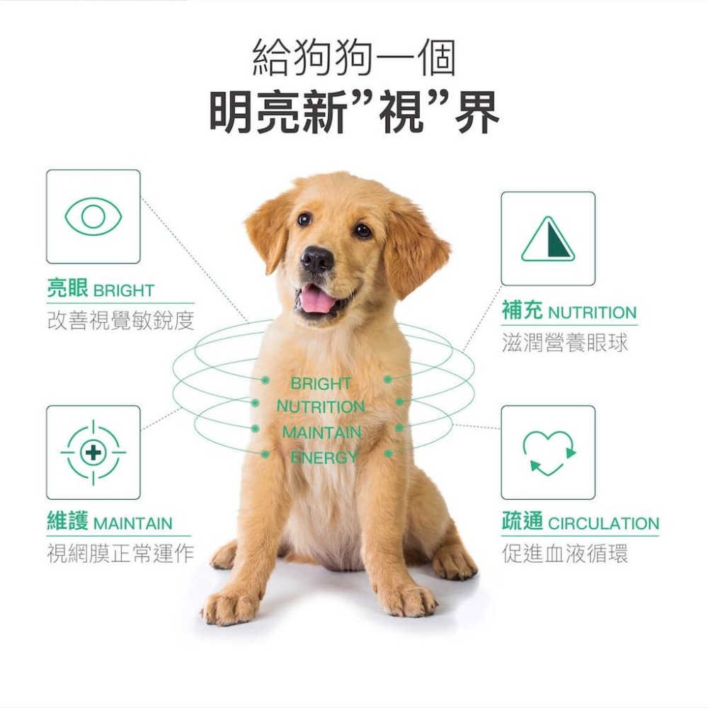 MORESON木入森 犬寶好眼力 狗狗葉黃素 眼睛保健 營養補充 寵物保健品-細節圖5