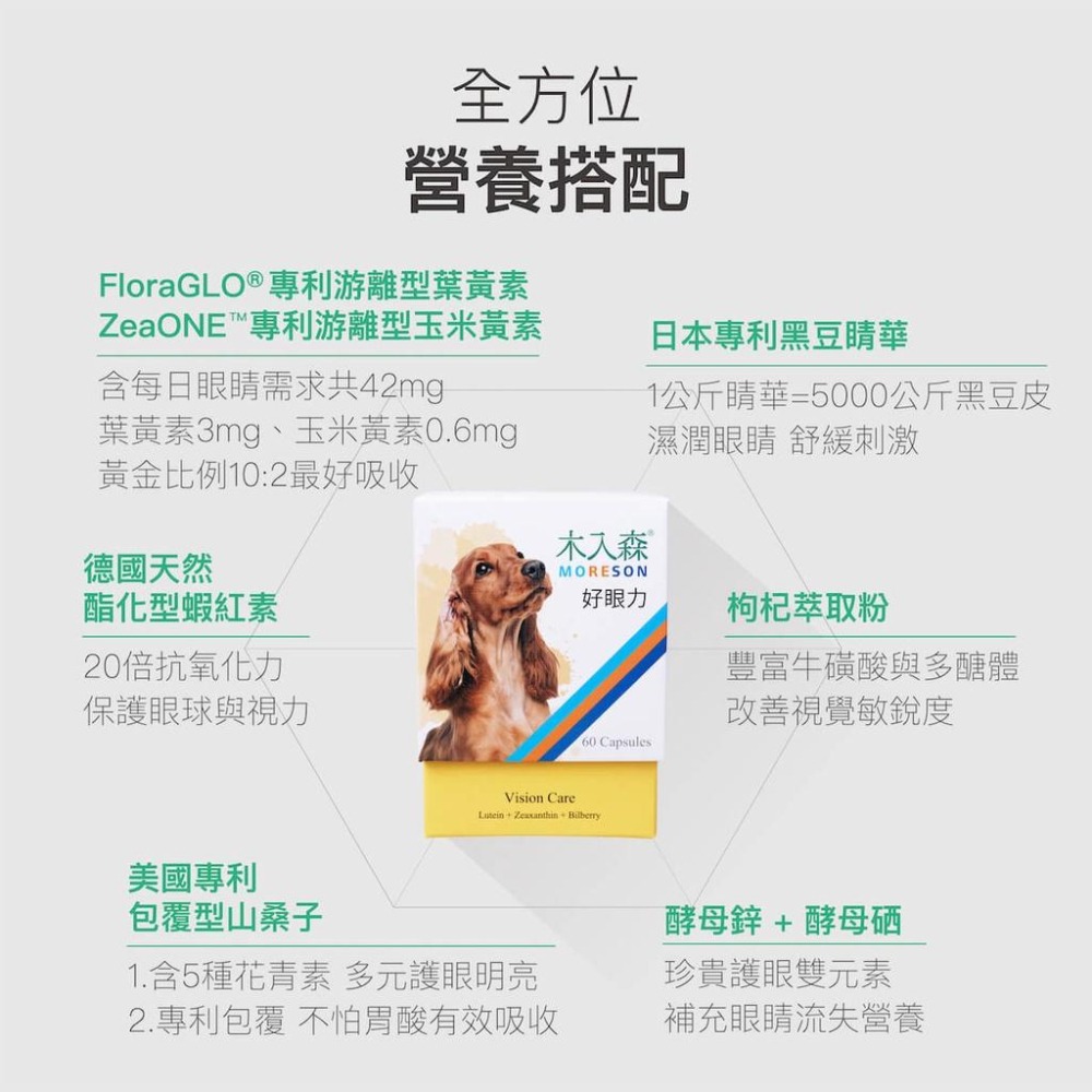 MORESON木入森 犬寶好眼力 狗狗葉黃素 眼睛保健 營養補充 寵物保健品-細節圖6