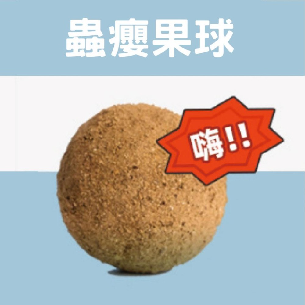 手作10CM 薄荷球 蟲癭果球 貓咪玩具 啃咬玩具 解悶用 實心製作 貓薄荷-細節圖4