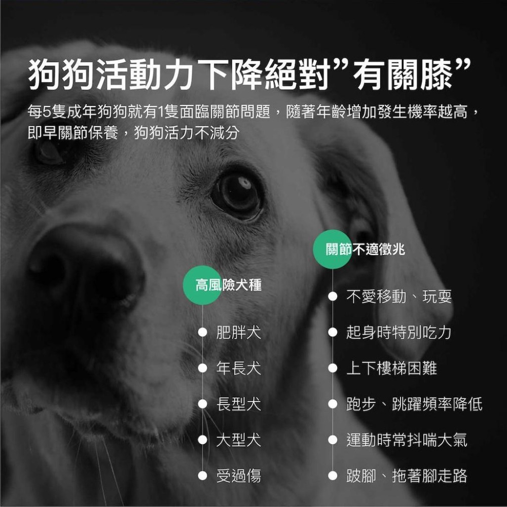 MORESON木入森 犬寶有關膝 關節保健 狗營養保健 玻尿酸 膠原蛋白-細節圖2