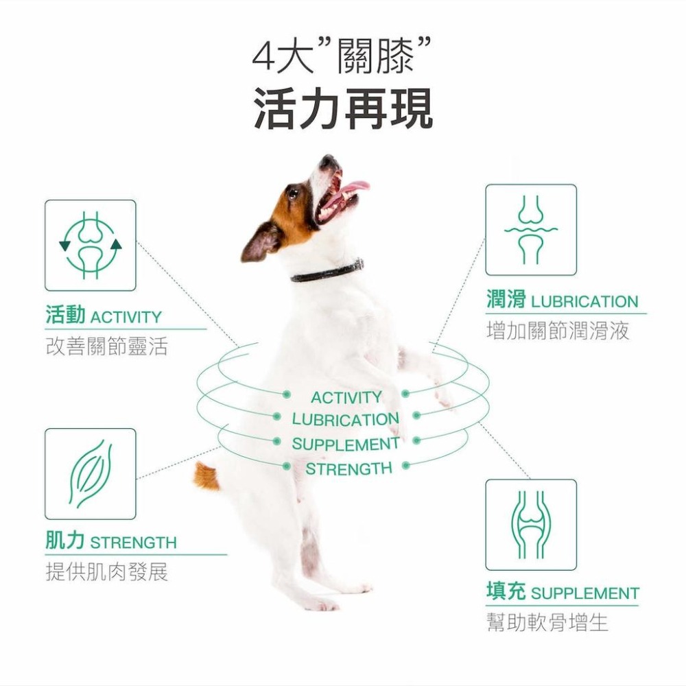 MORESON木入森 犬寶有關膝 關節保健 狗營養保健 玻尿酸 膠原蛋白-細節圖3