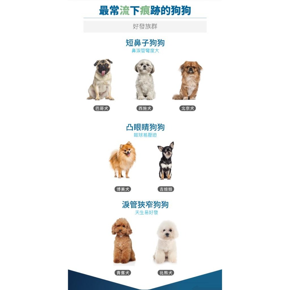 MORESON木入森 犬寶痕淨白 去除淚痕 狗狗保健品 眼睛保養 淚腺保健 寵物保養-細節圖3
