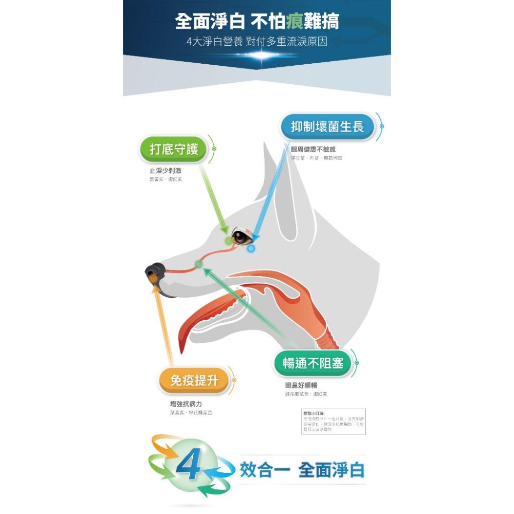 MORESON木入森 犬寶痕淨白 去除淚痕 狗狗保健品 眼睛保養 淚腺保健 寵物保養-細節圖4