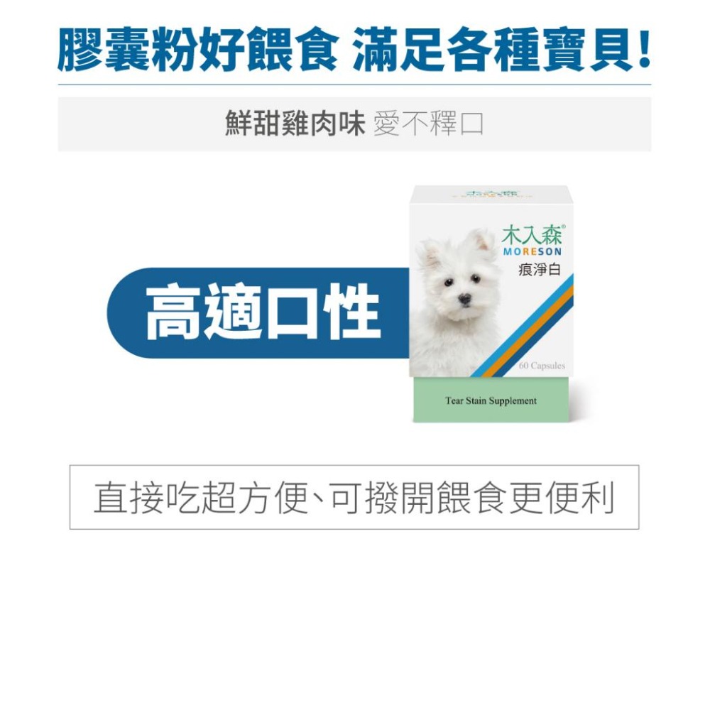 MORESON木入森 犬寶痕淨白 去除淚痕 狗狗保健品 眼睛保養 淚腺保健 寵物保養-細節圖5
