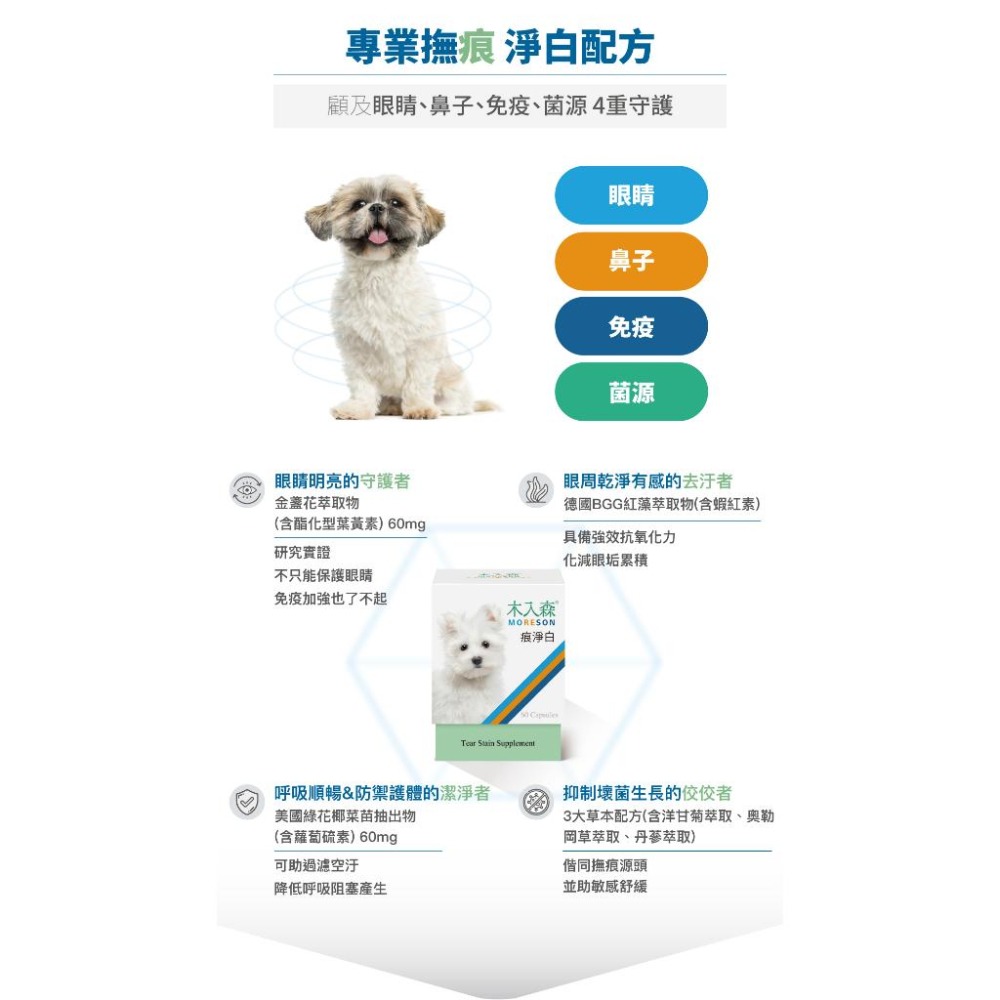 MORESON木入森 犬寶痕淨白 去除淚痕 狗狗保健品 眼睛保養 淚腺保健 寵物保養-細節圖6