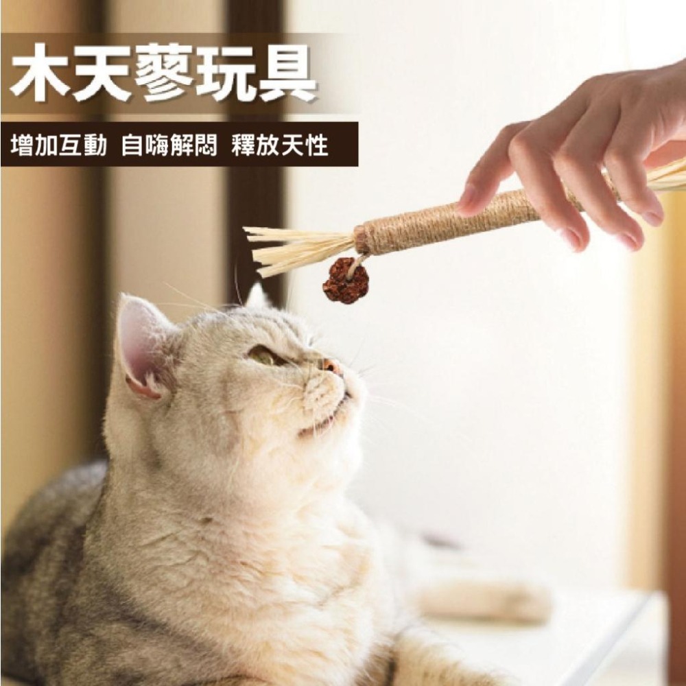 貓咪木天蓼磨牙棒 貓咪玩具 貓薄荷 拉菲草 蟲癭果 紓壓  貓咪用品 啃咬玩具 解悶-細節圖2