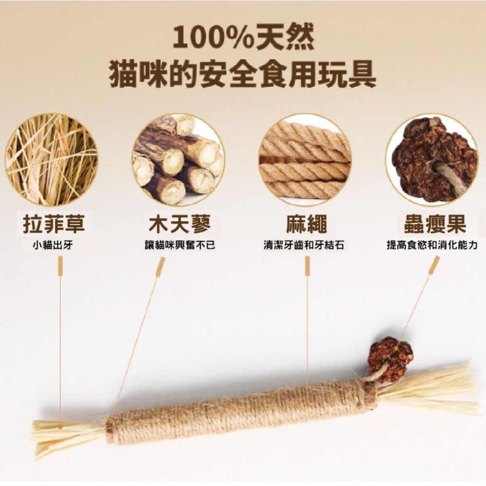 貓咪木天蓼磨牙棒 貓咪玩具 貓薄荷 拉菲草 蟲癭果 紓壓  貓咪用品 啃咬玩具 解悶-細節圖3
