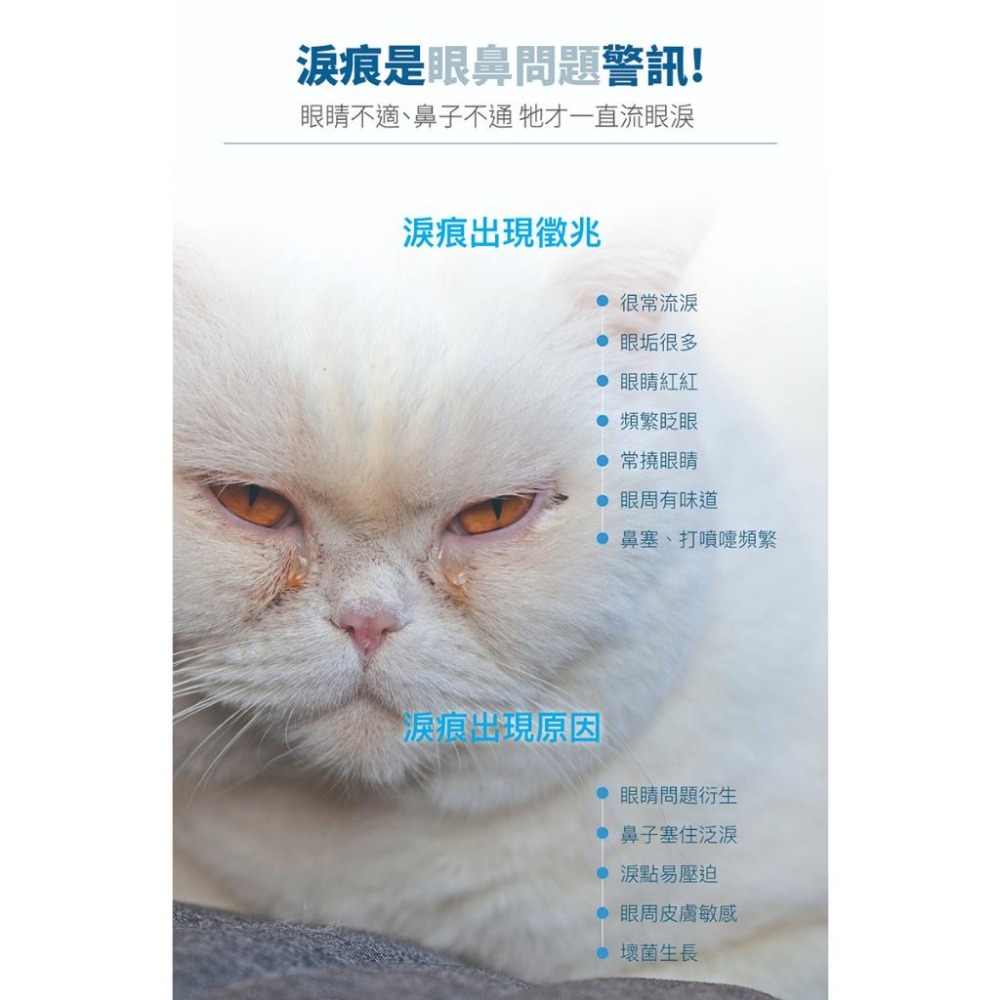 MORESON木入森 貓咪痕淨白 去除淚痕 貓咪保健品 眼睛保養 淚腺保健 寵物保養-細節圖2