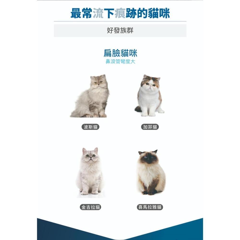 MORESON木入森 貓咪痕淨白 去除淚痕 貓咪保健品 眼睛保養 淚腺保健 寵物保養-細節圖3