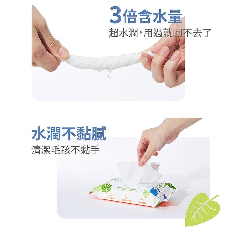 洛格 除臭抑菌護理濕紙巾 寵物紙巾 貓用 狗用 濕紙巾 隨身包-細節圖3