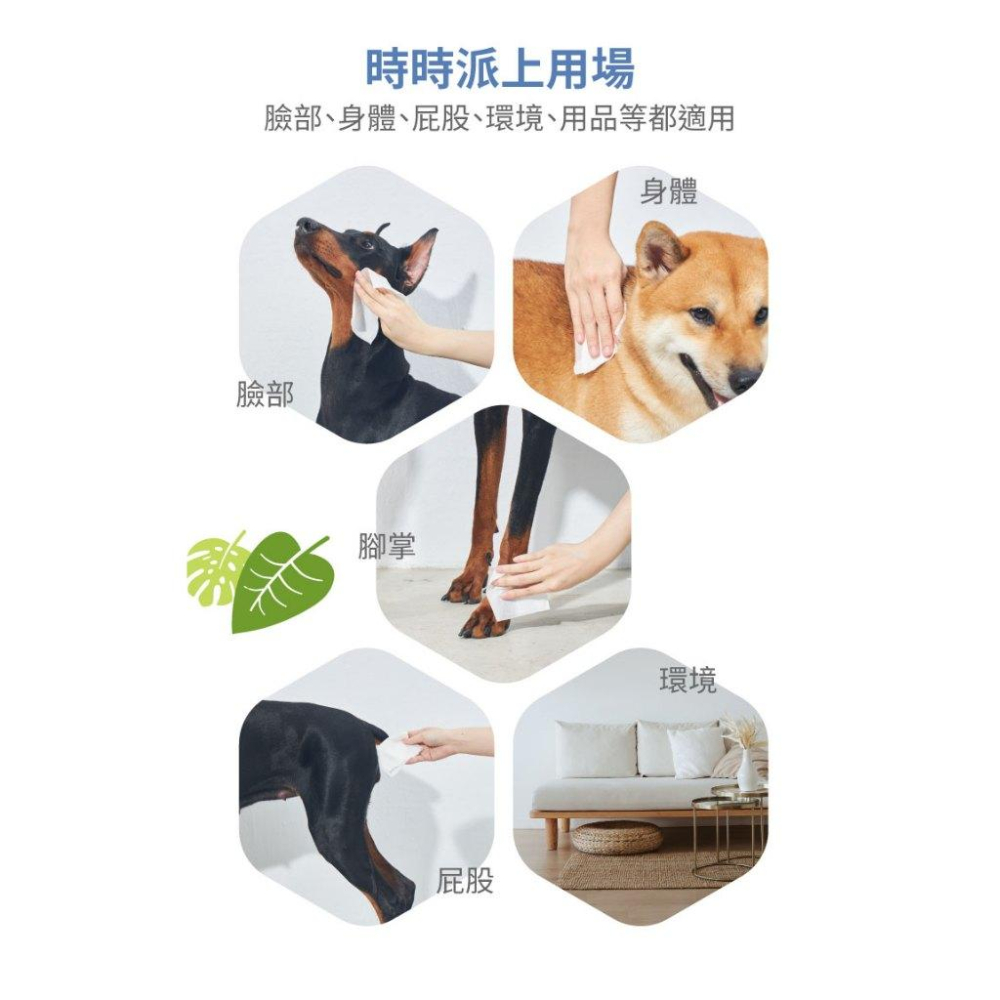洛格 除臭抑菌護理濕紙巾 寵物紙巾 貓用 狗用 濕紙巾 隨身包-細節圖6