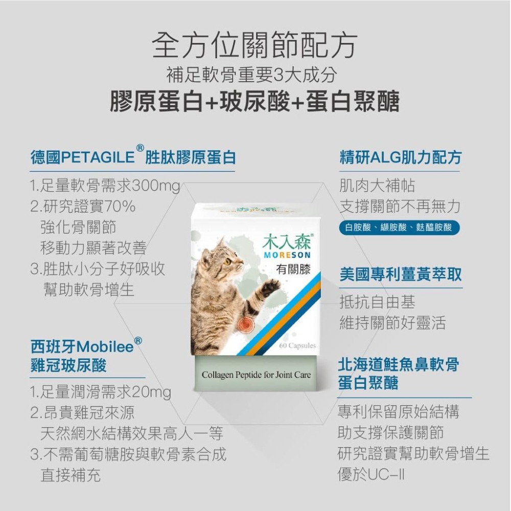 MORESON木入森 貓咪有關膝 貓咪關節保健 營養補充 玻尿酸 鮭魚鼻軟骨-細節圖3