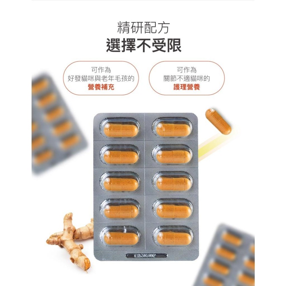 MORESON木入森 貓咪有關膝 貓咪關節保健 營養補充 玻尿酸 鮭魚鼻軟骨-細節圖5