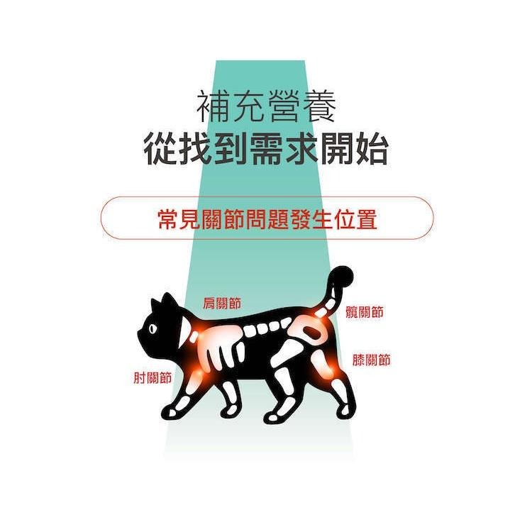 MORESON木入森 貓咪有關膝 貓咪關節保健 營養補充 玻尿酸 鮭魚鼻軟骨-細節圖7