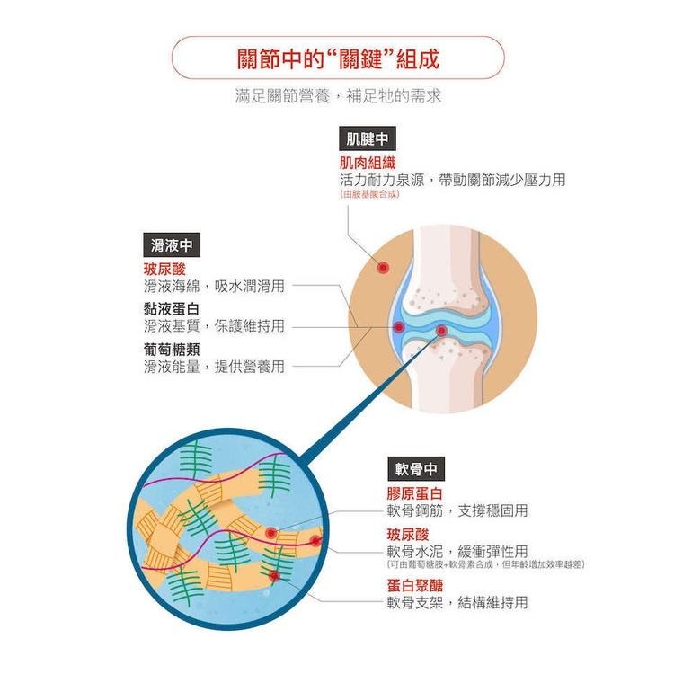 MORESON木入森 貓咪有關膝 貓咪關節保健 營養補充 玻尿酸 鮭魚鼻軟骨-細節圖8