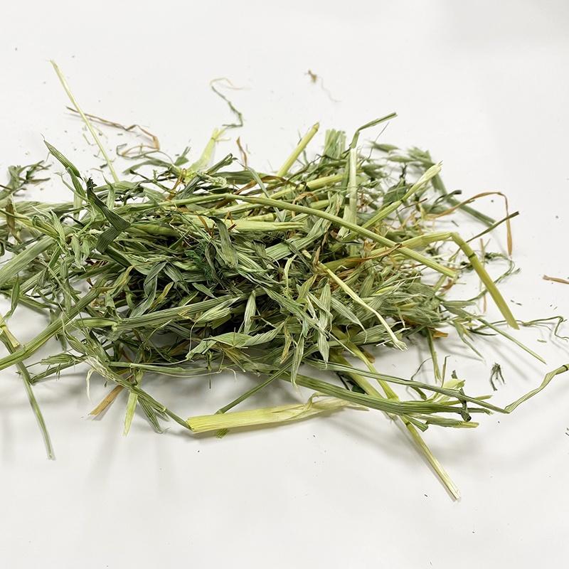 為了你 我們種了一片草~台灣國產 燕麥禾科混植草 國產草 混植草 苜蓿草 燕麥草 墾丁牧草 台灣牧草 牧草 寵物精品牧草-細節圖3