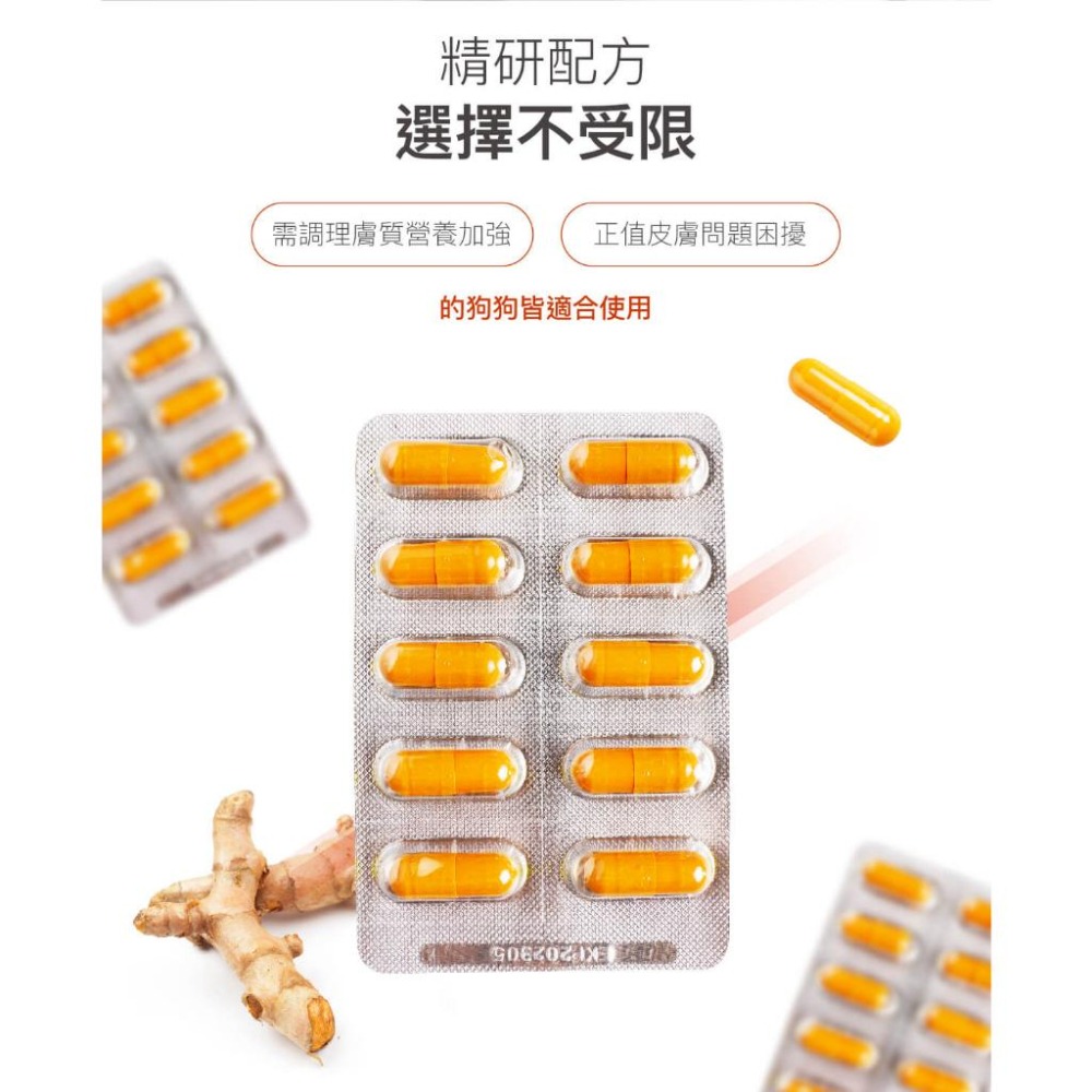 MORESON木入森 犬寶膚立好 狗狗 皮膚保健 異位性皮膚炎機能營養複方 營養補充-細節圖6