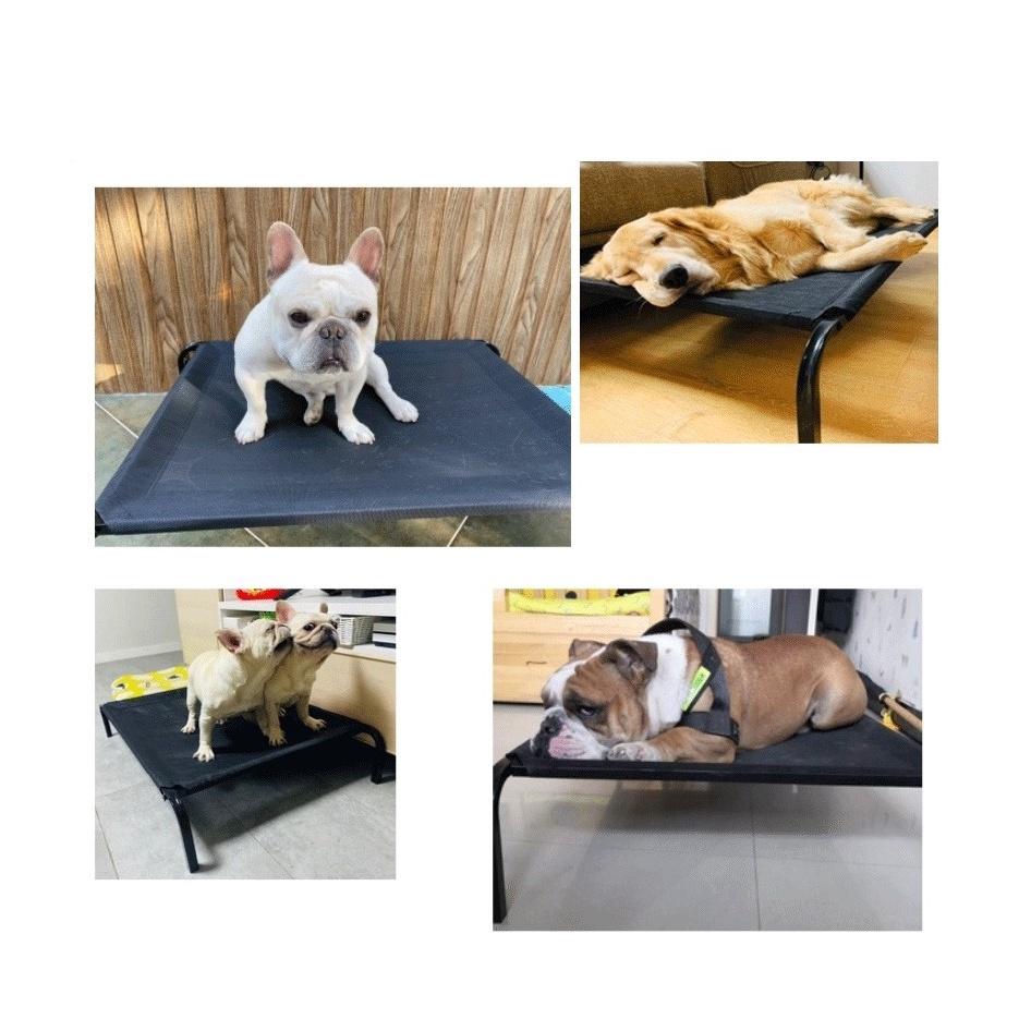 寵物行軍床 寵物床 飛行床 寵物吊床 貓窩 狗窩 架高床 透氣床 彈跳床-細節圖5