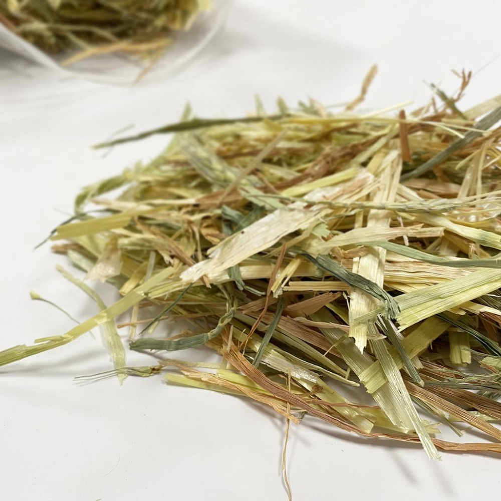 便便不夠大顆嗎？快來吃點增加纖維質~澳洲特級甜小麥 甜小麥 兔子牧草 香甜適口 寵物牧草 牧草 兔子 草食動物 小寵食物-細節圖2