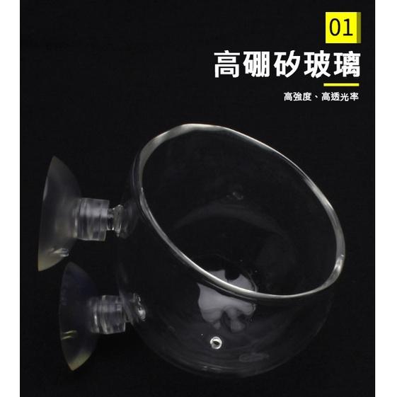 玻璃水草培育杯 水草杯 景觀杯 水草造景盆 水族造景 魚缸裝飾 飼料杯 玻璃杯-細節圖2