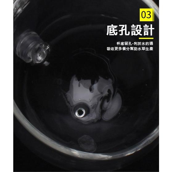 玻璃水草培育杯 水草杯 景觀杯 水草造景盆 水族造景 魚缸裝飾 飼料杯 玻璃杯-細節圖3